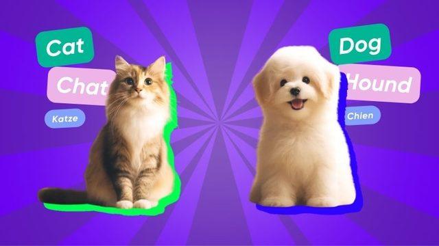 Avrupa Dillerinde "Kedi" Kelimesi Hep Benzerken "Köpek" Kelimesi Neden Bambaşka?