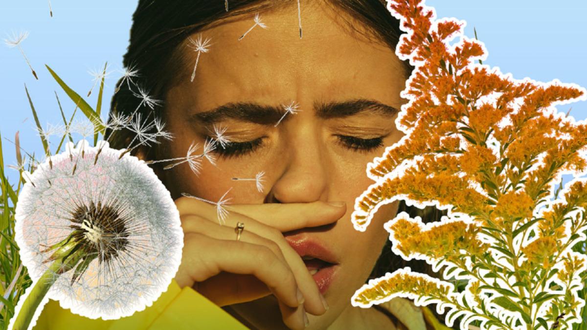 Elinden Peçeteyi Düşüremeyenler Toplansın: Bahar Alerjilerimiz Her Yıl Neden Daha da Kötüleşiyor, Kendimizi Bundan Nasıl Koruyabiliriz?