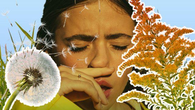 Elinden Peçeteyi Düşüremeyenler Toplansın: Bahar Alerjilerimiz Her Yıl Neden Daha da Kötüleşiyor, Kendimizi Bundan Nasıl Koruyabiliriz?