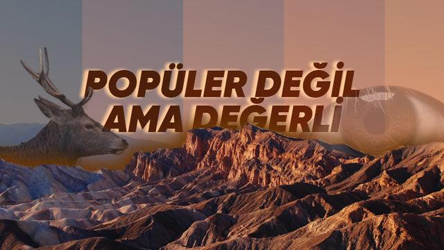 Başlığı Okurken Bile Saymaya Başlayacaksınız: Neden Baktığımız Her Yerde Kahverengi Bir Şeyler Görüyoruz?