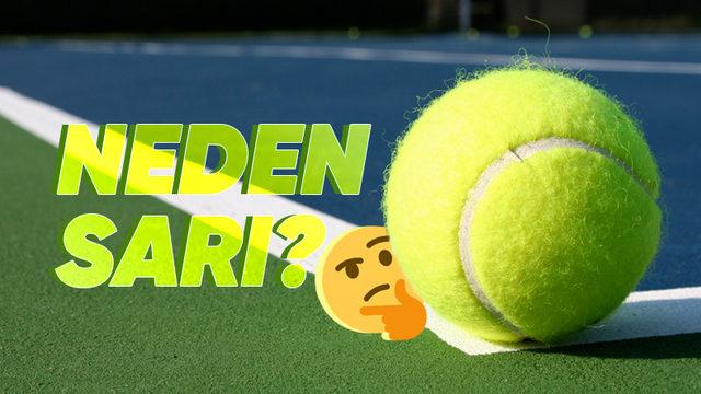 Tenis Topları Neden Tüylü Diye Hiç Düşündünüz mü? Bu Yapısı Âdeta Oyunun Gidişatını Değiştiriyor!