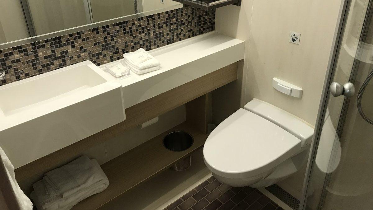 Binlerce Kişiyi Taşıyan Yolcu Gemilerindeki Dışkılar Nereye Gidiyor? Hayır, Öylece Denize Atılmıyor!