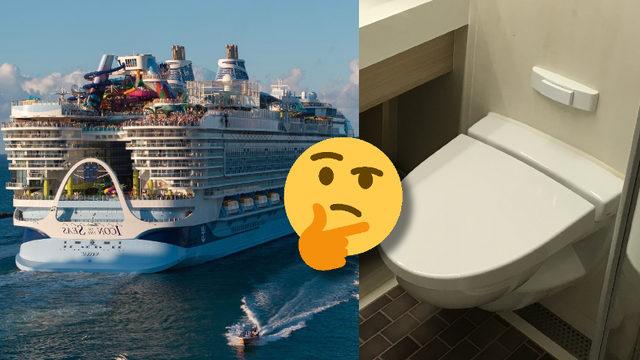 Binlerce Kişiyi Taşıyan Yolcu Gemilerindeki Dışkılar Nereye Gidiyor? Hayır, Öylece Denize Atılmıyor!