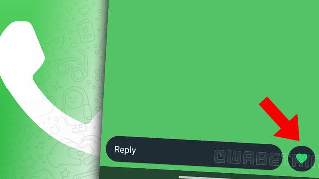 WhatsApp’a, Durumları Hızlıca Beğenmenizi Sağlayacak Bir Özellik Geliyor