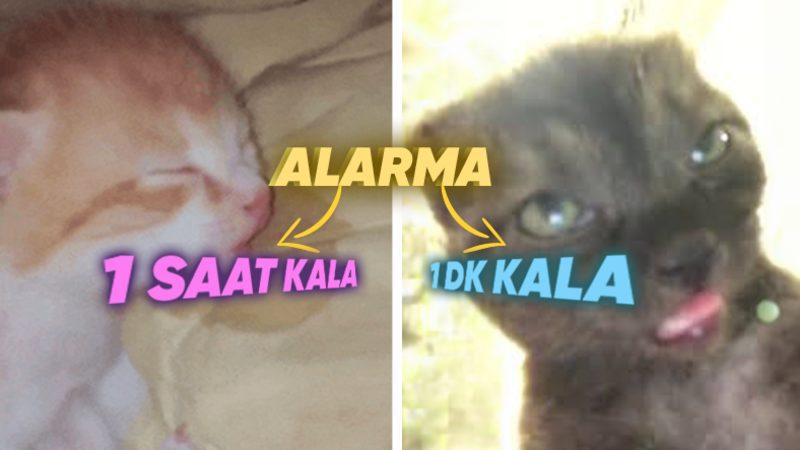 Neden Alarmımıza Dakikalar Kala Çalacağını Hissetmişçesine Kalkarız? Evet, Bilim Bunu da Araştırmış!