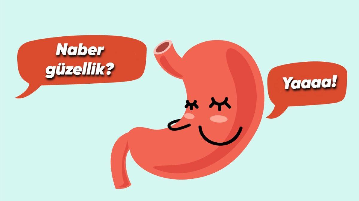 Biyoloji Dersinde Hiçbir Şey Öğrenmemişiz: Bu Bilgileri Duyduktan Sonra Vücudunuza Farklı Bir Gözle Bakmaya Başlayacaksınız!