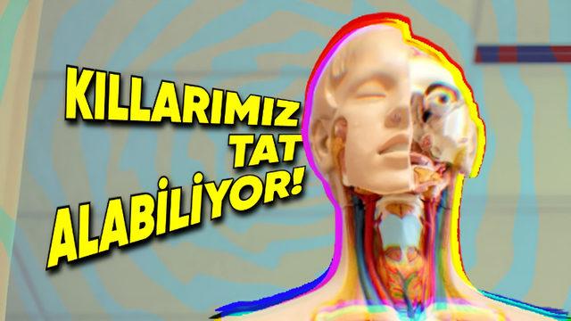 Biyoloji Dersinde Hiçbir Şey Öğrenmemişiz: Bu Bilgileri Duyduktan Sonra Vücudunuza Farklı Bir Gözle Bakmaya Başlayacaksınız!
