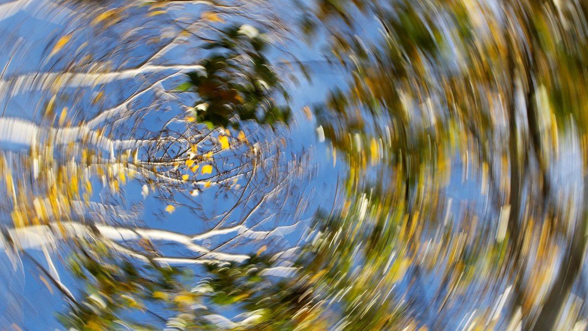 Dönmeyi Bırakmamıza Rağmen Başımızın Neden Bir Müddet Daha Döndüğünü Açıklıyoruz!