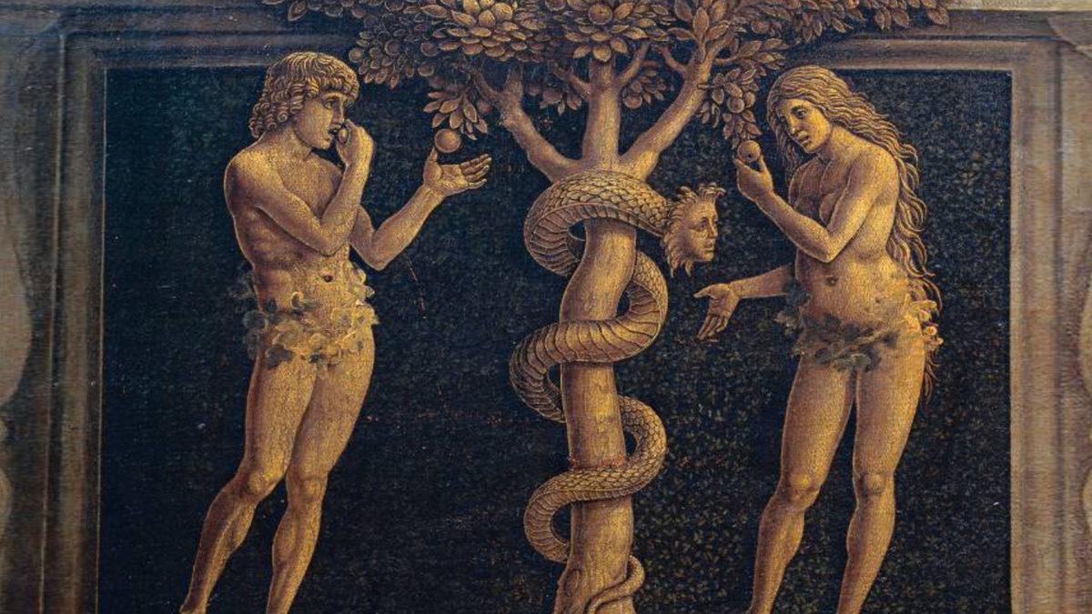 Türkçede Sadece 1 Harfle Anlamı Değişen Kelimeler: Alçak Gönüllü Demek İsterken Paralel Diyor Olabilirsiniz