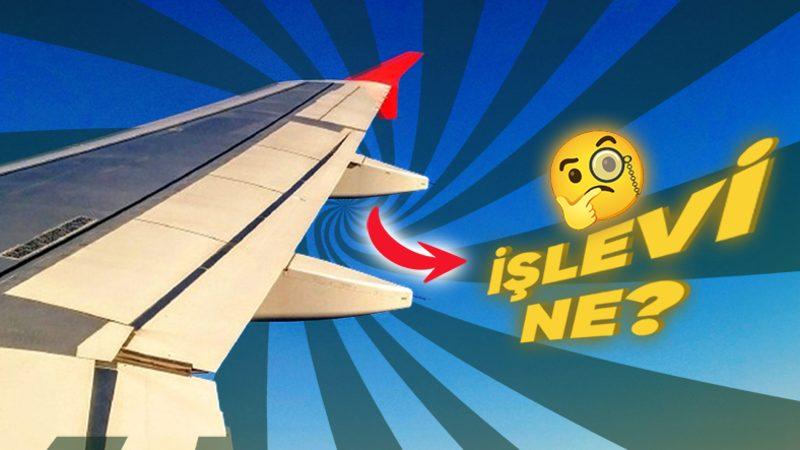 Uçak Kanatlarının Altındaki Bu Bölmeler de Neyin Nesi? Aslında Hayati Derecede Öneme Sahip!