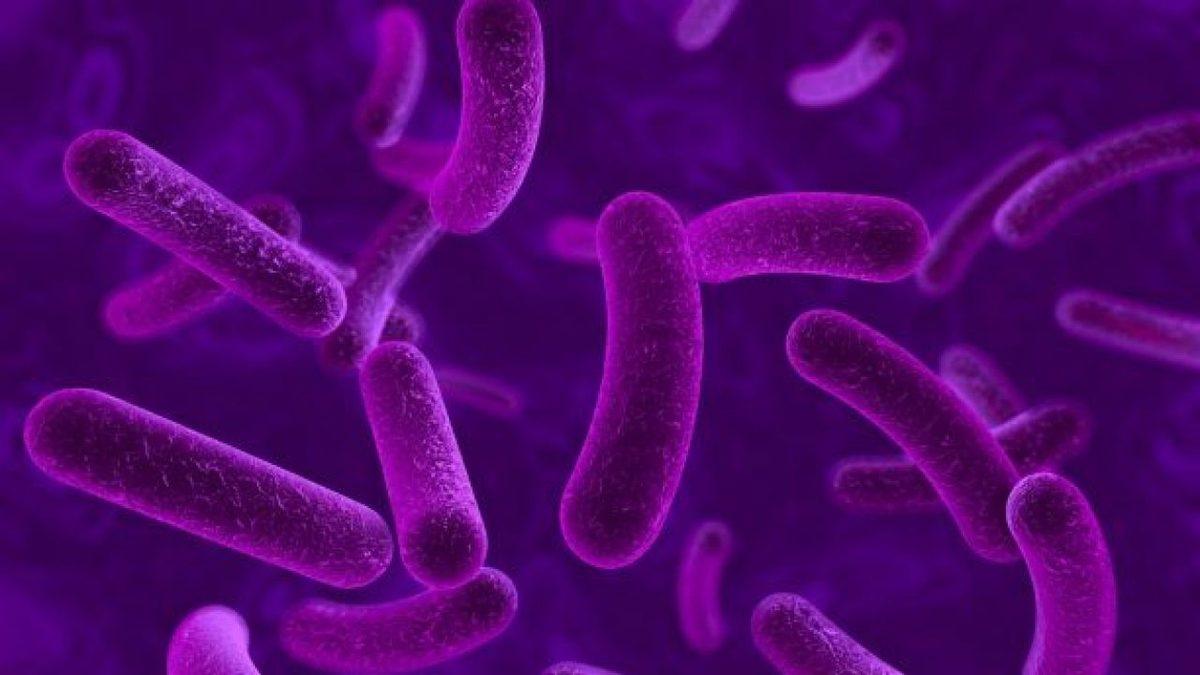 Uzaylılar Gerçekten Varsa, Yeşil Değil Mor Renk Olmaları Gerekiyor! İşte Bilimsel Açıklaması...