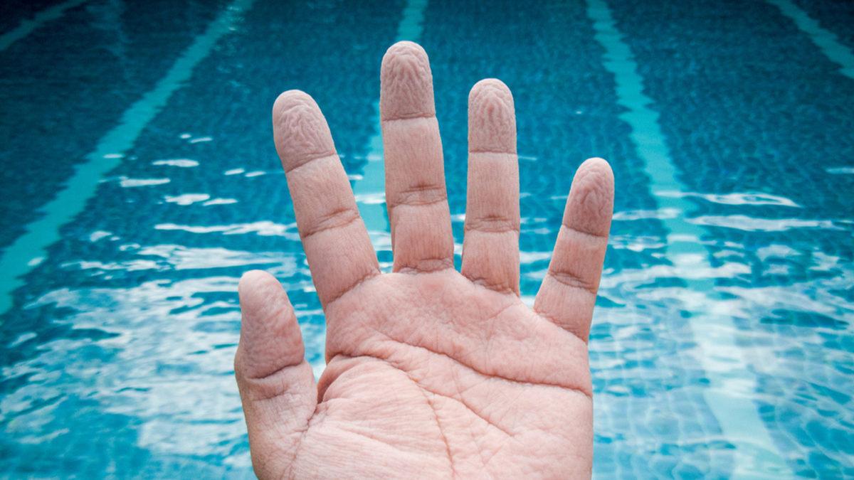 Uzun Süre Suda Kaldığımızda Neden Sadece El ve Ayaklarımız Buruşur?