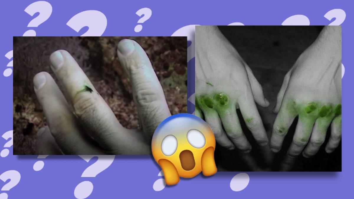 Kanımız, Okyanusun Derinliklerinde Neden Ürkütücü Bir Şekilde Yeşile Dönüşüyor?