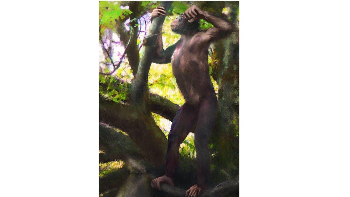 Parmaklarınızda Hiç Kas Olmamasının 12.000 Yıl Önceye Dayanan İlginç Sebebi