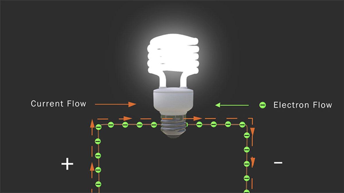 Kuşlar Yüksek Gerilim Hatlarına Konduğunda Neden Elektrik Çarpmaz? İşte Bilimin Verdiği Şaşırtıcı Cevap!