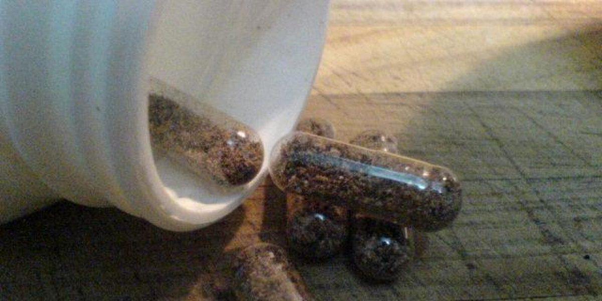 Uyarıları Dinleyen Yok: Doğumdan Sonra Plasenta Yeme Akımı Çığ Gibi Büyüyor!