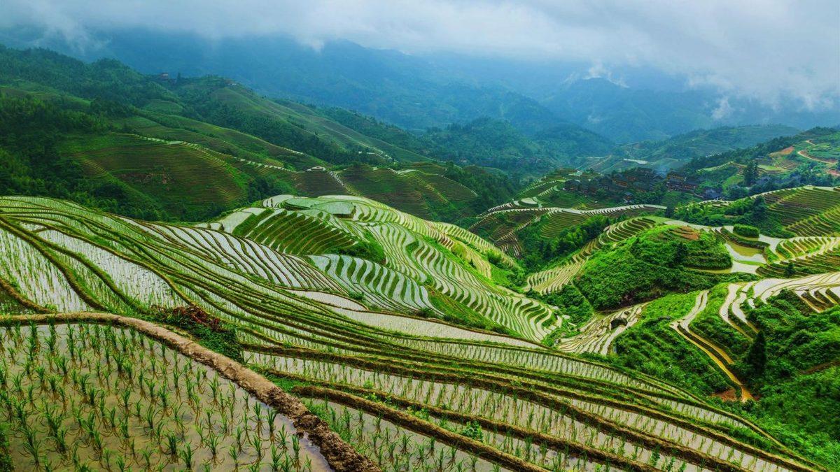 Hindistan ve Çin’in Nüfusu Neden Bu Kadar Kalabalık? Sebebini Öğrenince Size de Çok Mantıklı Gelecek!