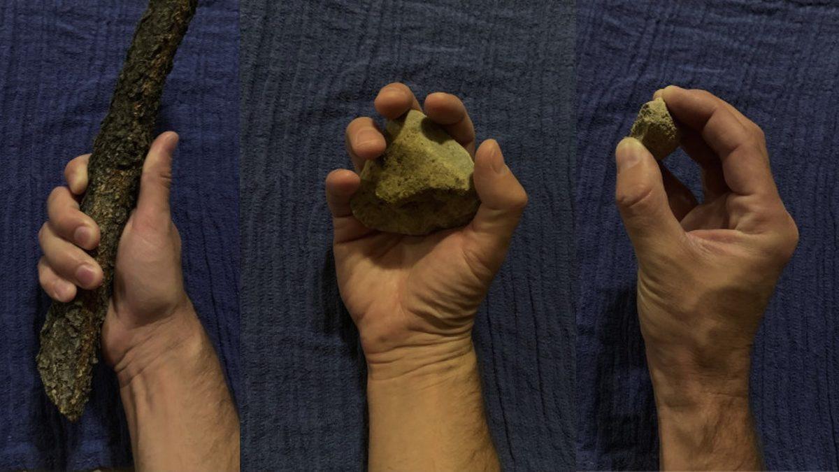 Hiçbir Amacı Yokmuş Gibi Görünen Avuç Çizgilerimiz Neden Var? Olmasalardı Çoktan Nesli Tükenen Canlılar Arasındaydık!