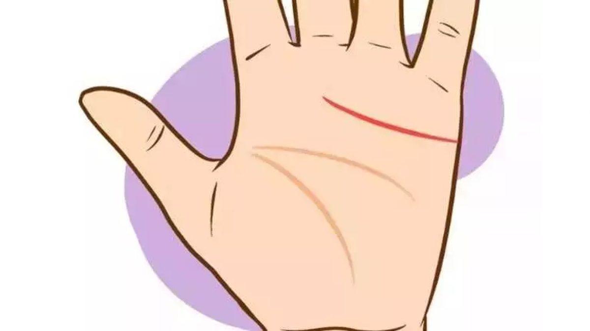 Hiçbir Amacı Yokmuş Gibi Görünen Avuç Çizgilerimiz Neden Var? Olmasalardı Çoktan Nesli Tükenen Canlılar Arasındaydık!