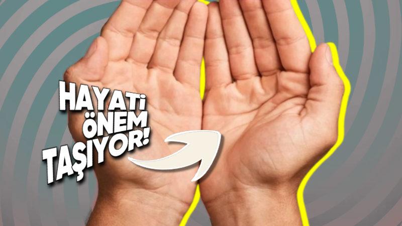 Hiçbir Amacı Yokmuş Gibi Görünen Avuç Çizgilerimiz Neden Var? Olmasalardı Çoktan Nesli Tükenen Canlılar Arasındaydık!