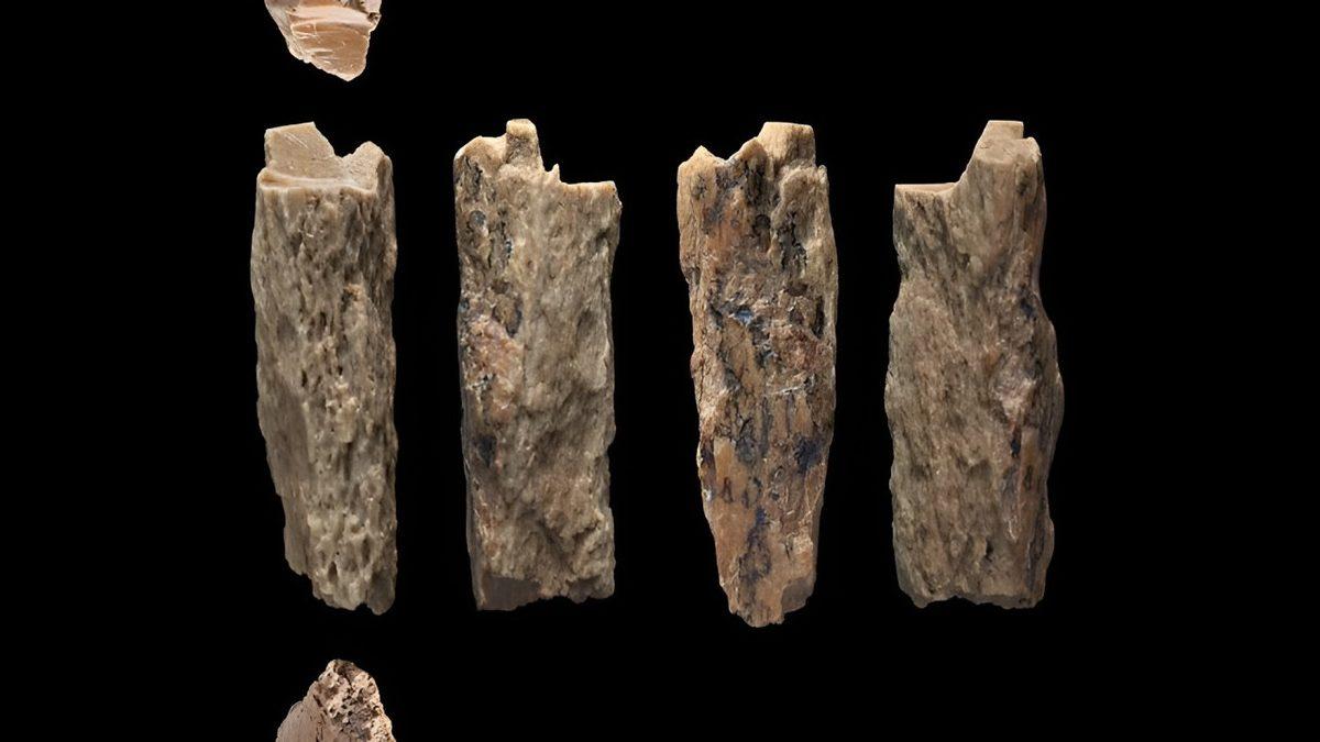 Şimdiye Kadar Bilinen Tek İnsan Melezi Denny İle Tanışın: Üstelik 90.000 Yaşında!