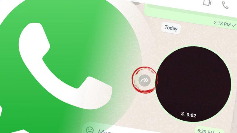 WhatsApp, Güvenlik Amacıyla Kullanıma Sunduğu "Video Mesaj" Özelliğine Başkasına Gönderme Özelliği Getiriyor