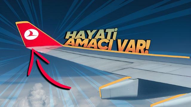 Uçak Kanatlarının Ucundaki Bu Minik Kıvrımlar Neden Var? Olmasaydı Biletler Daha Pahalı Olabilirdi!