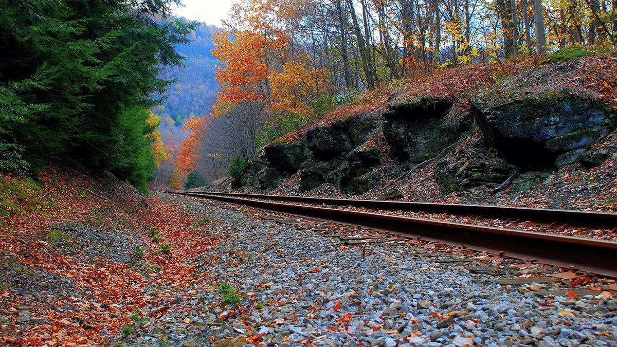 Yapraklar Nasıl Oluyor da Koskoca Trenlerin Rötar Yapmasına Sebep Oluyor? Evet, Yanlış Duymadınız!