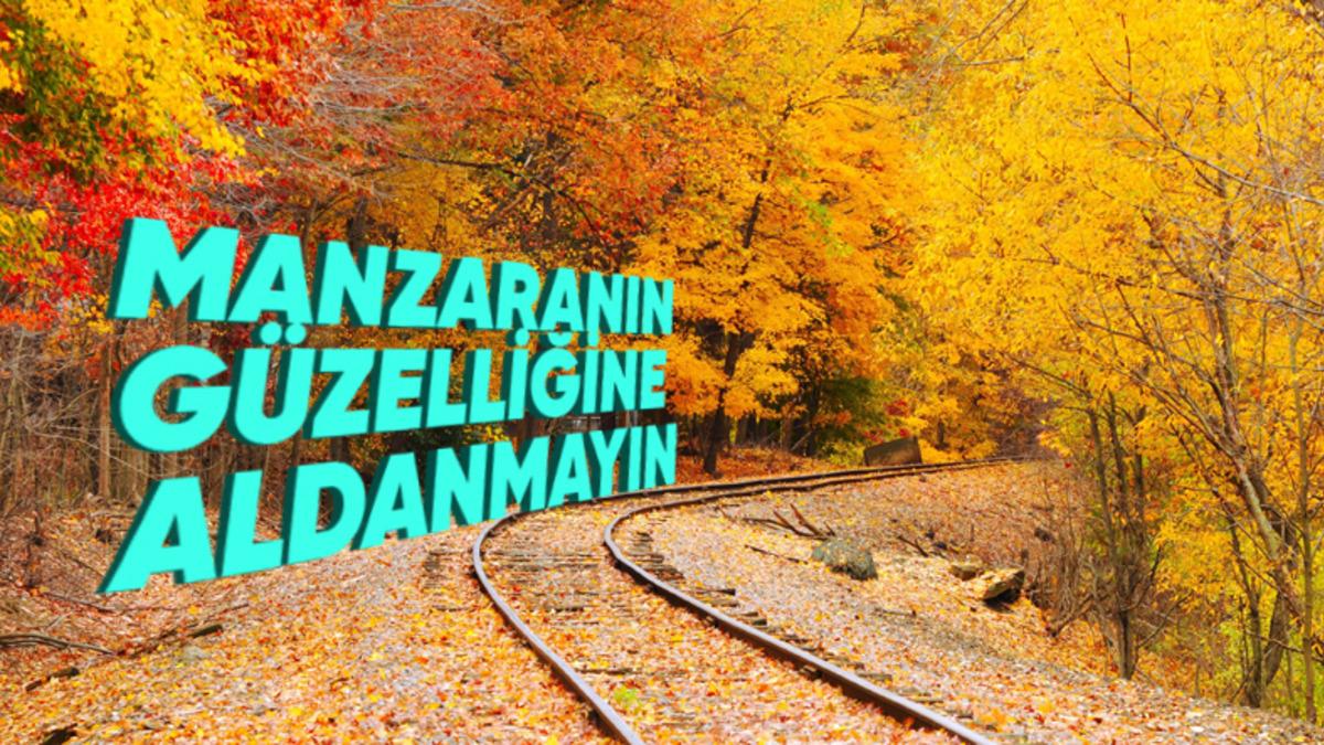 Yapraklar Nasıl Oluyor da Koskoca Trenlerin Rötar Yapmasına Sebep Oluyor? Evet, Yanlış Duymadınız!