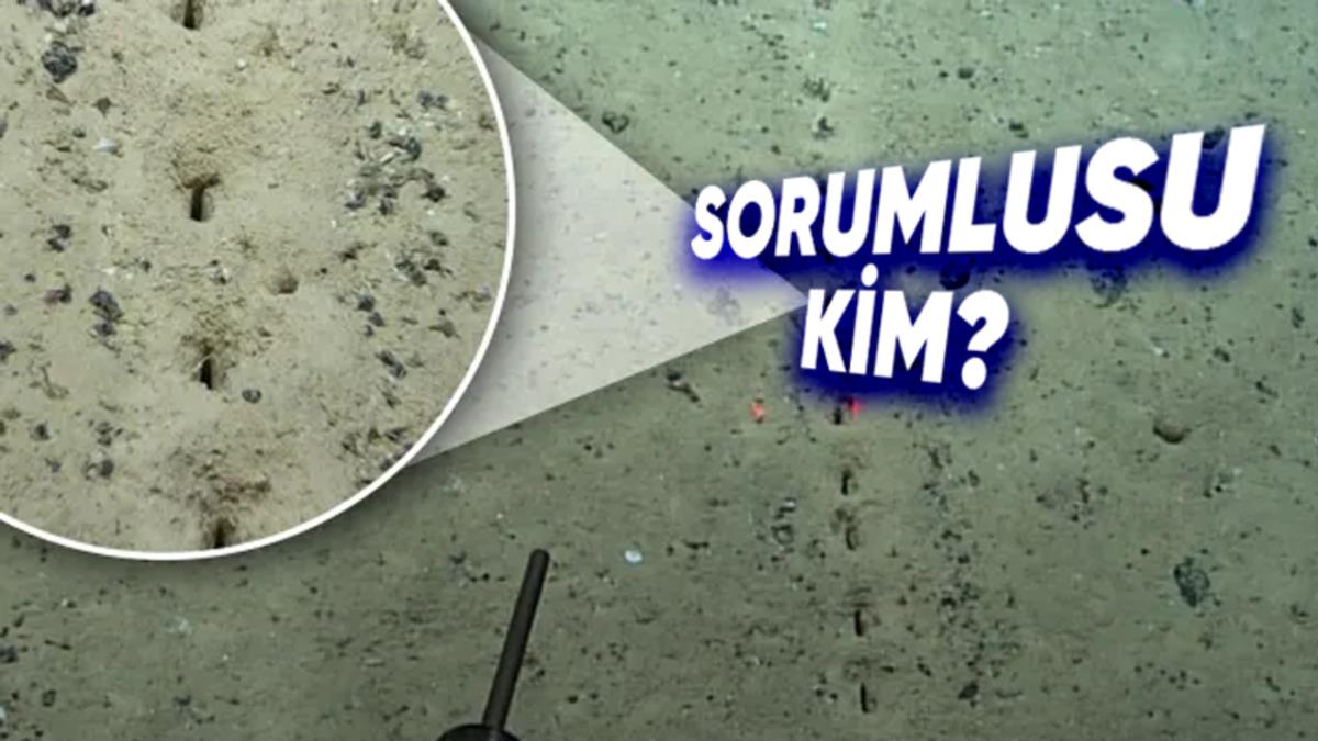 Atlas Okyanusundaki Birbiri Ardına Sıralı Bu Gizemli Delikler Neyin Nesidir?