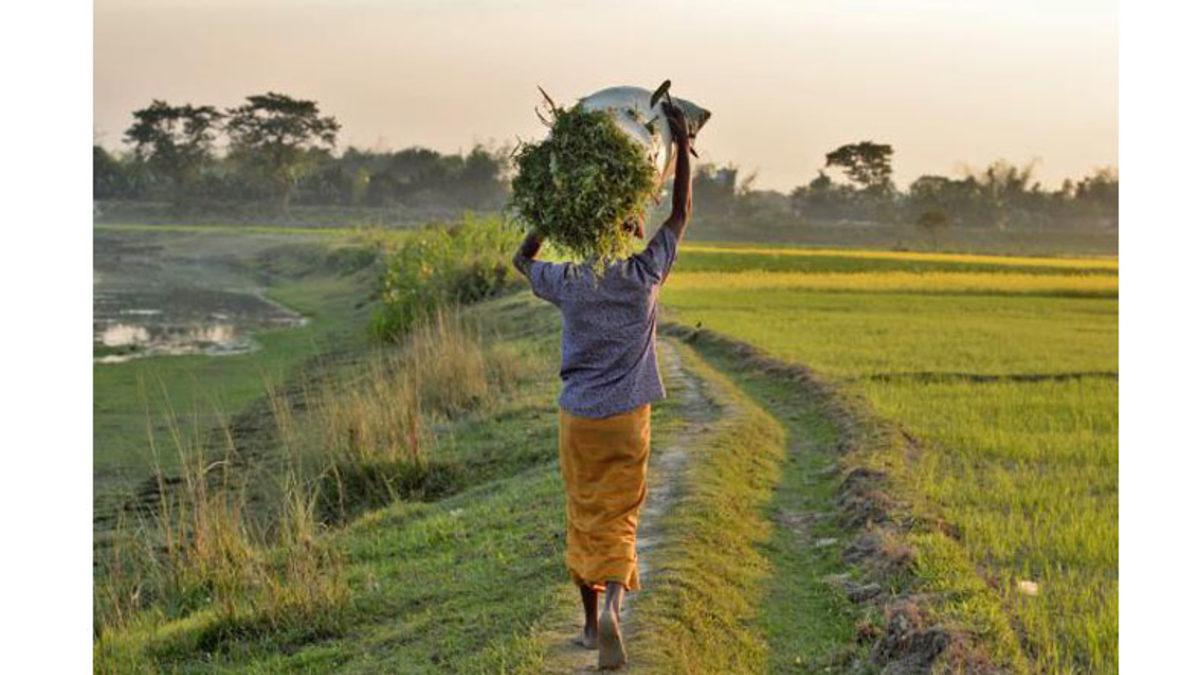 Tüm Dünya 4 Mevsimi Yaşarken Bangladeş’te Neden 6 Mevsim Var? Mevsim Başlangıçları Bile Bizimki Gibi Değil!