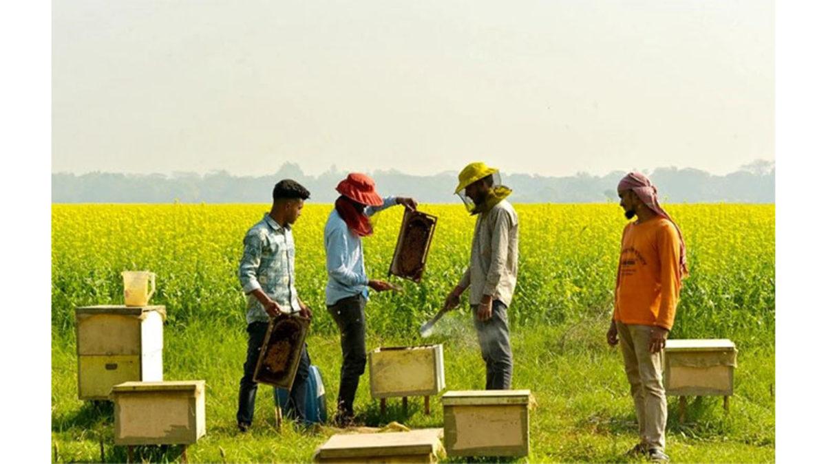 Tüm Dünya 4 Mevsimi Yaşarken Bangladeş’te Neden 6 Mevsim Var? Mevsim Başlangıçları Bile Bizimki Gibi Değil!