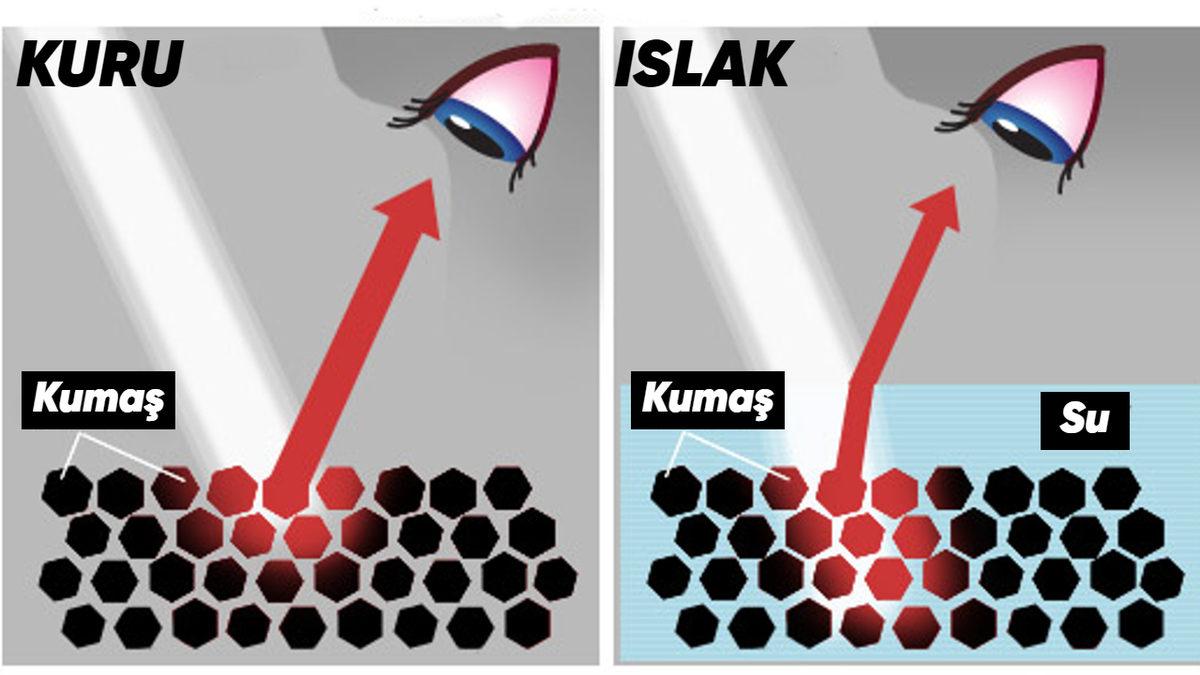 Suyun Rengi Olmamasına Rağmen Döküldüğü Yeri Nasıl Koyu Yapıyor? Cevabı Öğrenince Gördüğünüz Her Renkten Şüphe Duyabilirsiniz!