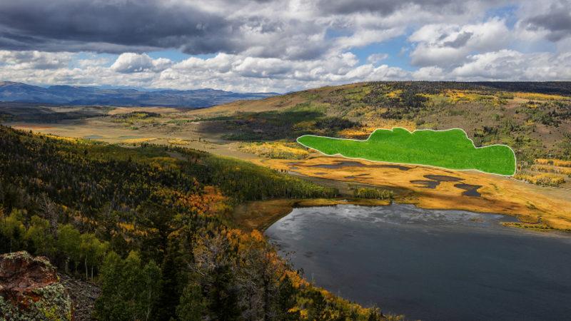 Dünyanın En Büyük Canlısının Sesi Kaydedildi