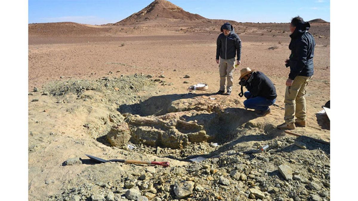Kumlarla Kaplı Sahra Çölü’nün Altında Yatan Gizem: Bir Zamanlar Burası Nasıl Timsahlarla Doluydu?