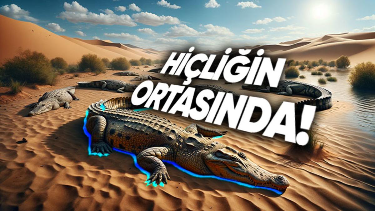 Kumlarla Kaplı Sahra Çölü’nün Altında Yatan Gizem: Bir Zamanlar Burası Nasıl Timsahlarla Doluydu?