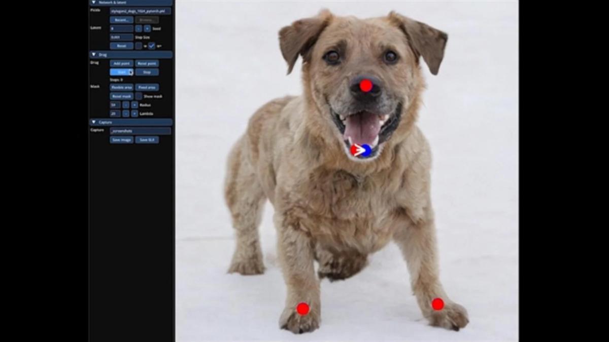 Photoshop’u Tarihe Gömebilecek, Yapay Zekâ ile Görselleri Eğip Bükebildiğimiz DragGAN ile Yapılan Çalışmalar (Siz de Kullanabilirsiniz)