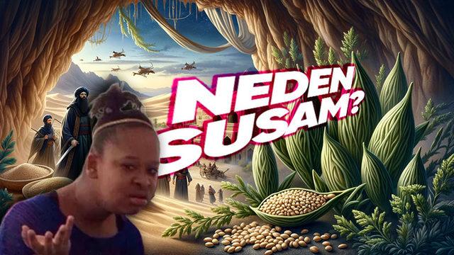 Ali Baba ve Kırk Haramiler Masalında Mağarayı Açmak İçin Söylenen "Açıl Susam Açıl" Sözcüğündeki Susam Ne Anlama Geliyor?