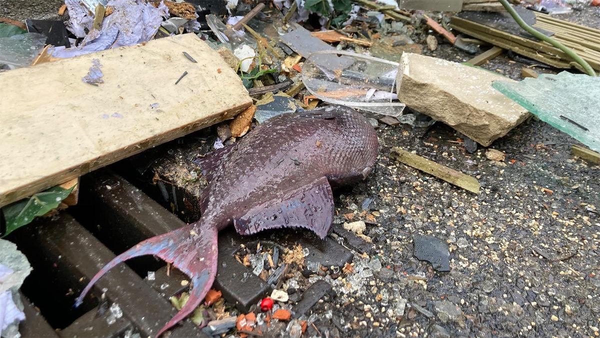 Dünyanın En Büyük Silindir Akvaryumu AquaDom’a Ne Oldu da Patladı? Bütün Balıklar Sokağa Saçıldı!