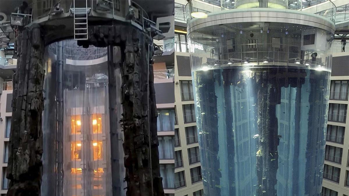 Dünyanın En Büyük Silindir Akvaryumu AquaDom’a Ne Oldu da Patladı? Bütün Balıklar Sokağa Saçıldı!