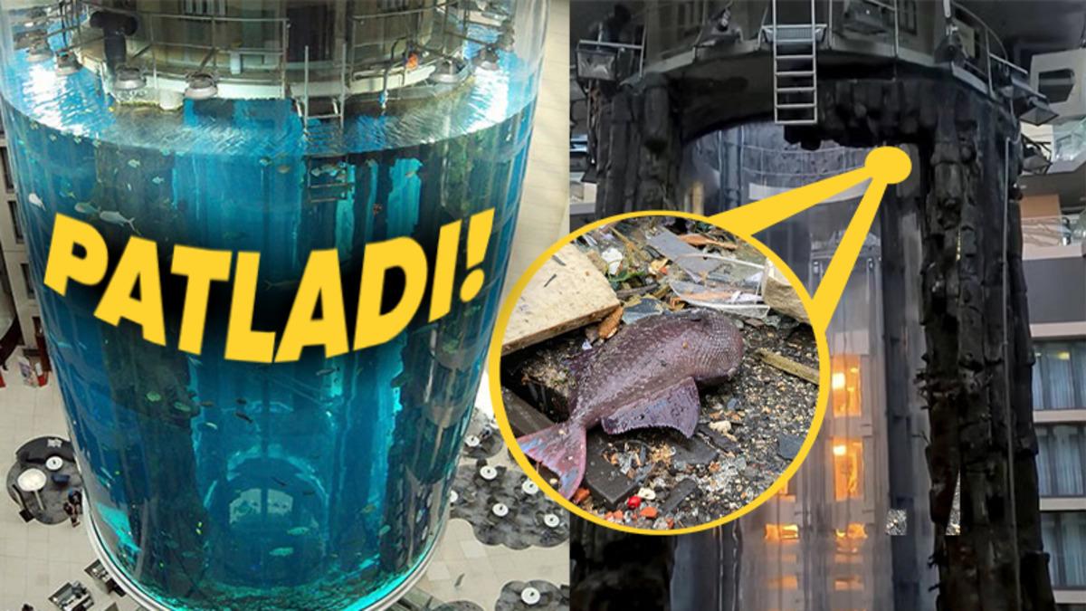 Dünyanın En Büyük Silindir Akvaryumu AquaDom’a Ne Oldu da Patladı? Bütün Balıklar Sokağa Saçıldı!