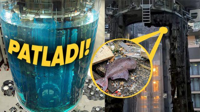 Dünyanın En Büyük Silindir Akvaryumu AquaDom’a Ne Oldu da Patladı? Bütün Balıklar Sokağa Saçıldı!