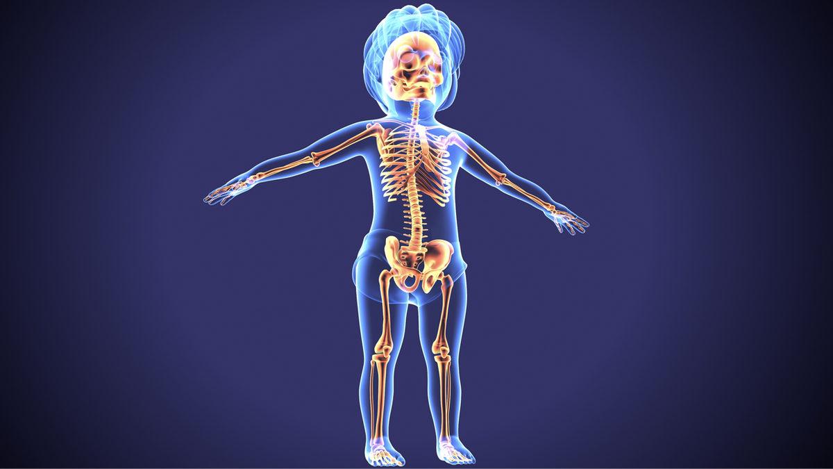 Bebeklerde Neden Yetişkinlere Göre Daha Fazla Kemik Var?