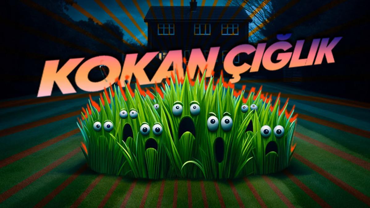 Taze Biçilmiş Çim Kokusu Sevenlere Kötü Bir Haberimiz Var: Bu Koku, Aslında Bir Tehlike Sinyali! Peki Ama Neden?