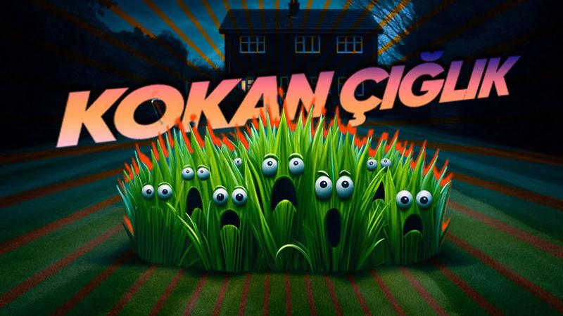 Taze Biçilmiş Çim Kokusu Sevenlere Kötü Bir Haberimiz Var: Bu Koku, Aslında Bir Tehlike Sinyali! Peki Ama Neden?