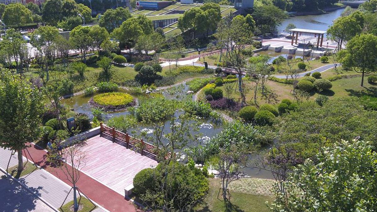 Çin’in Sünger Şehirler İnşa Etmesinin Ardındaki Sebebi Öğrenince 