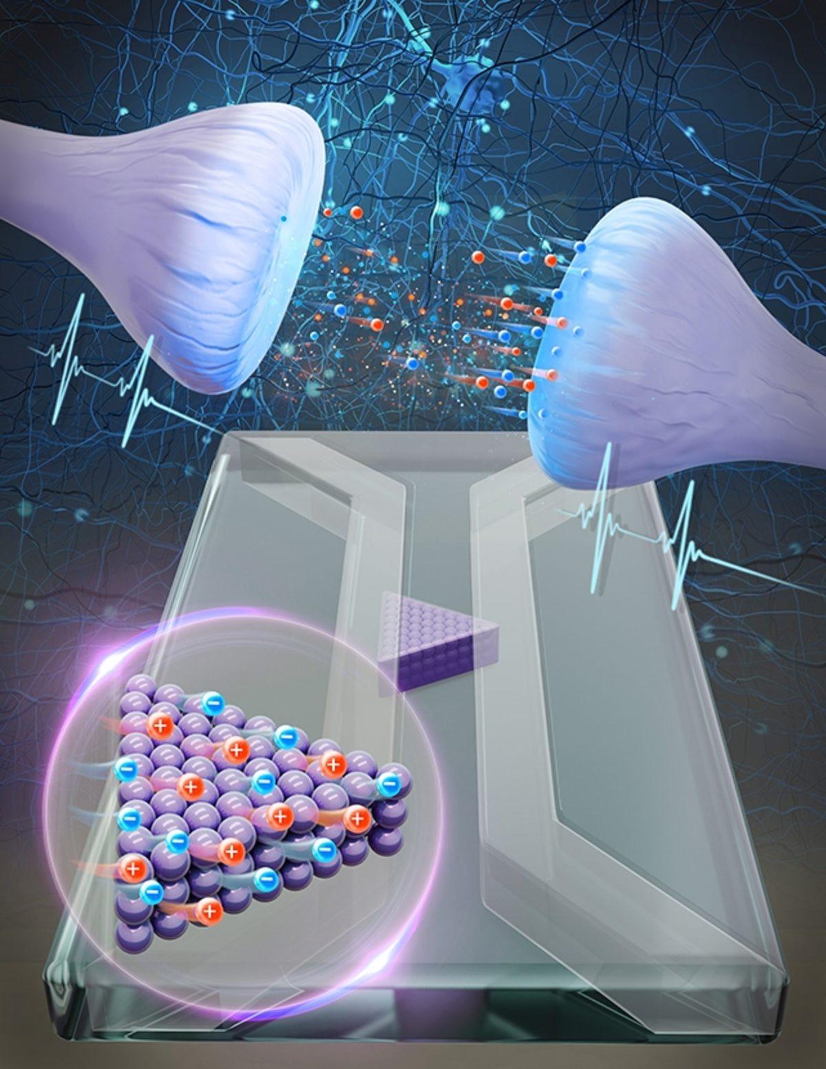 Bilim İnsanları, Su ve Tuz Kullanarak İşlevsel Beyin Hücresi Geliştirmeyi Başardı!