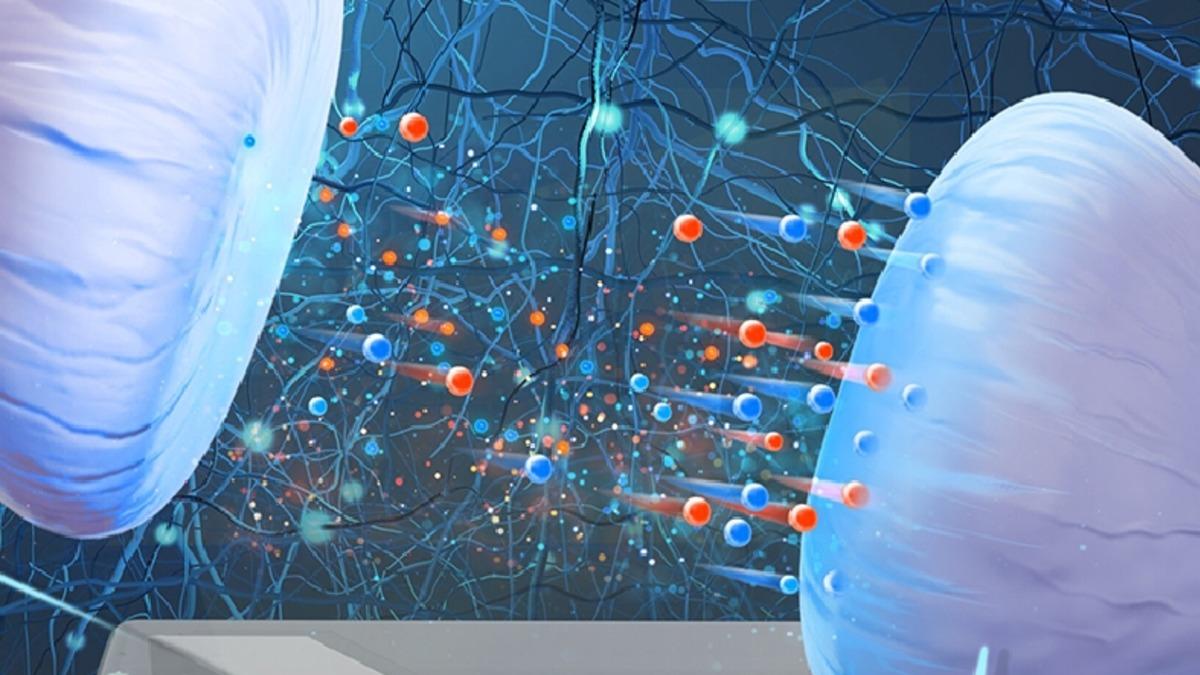 Bilim İnsanları, Su ve Tuz Kullanarak İşlevsel Beyin Hücresi Geliştirmeyi Başardı!