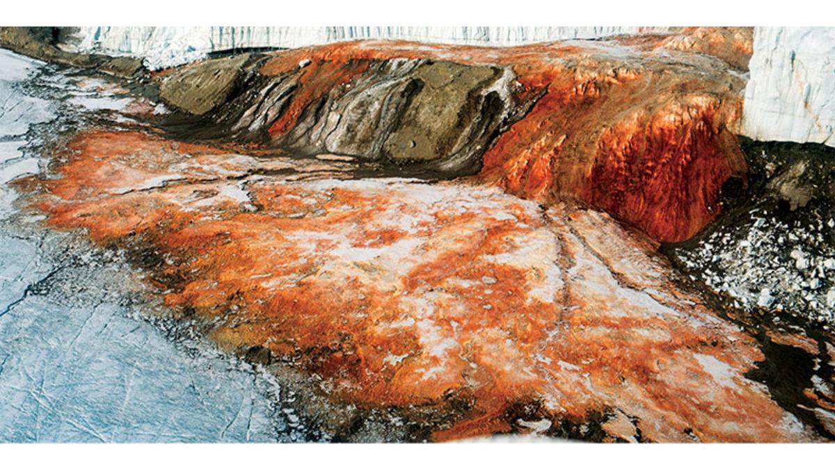 Antarktika’daki Bu Şelaleden Neden Kan Gibi Kırmızı Su Akıyor?