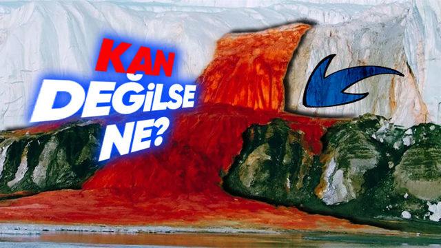 Antarktika’daki Bu Şelaleden Neden Kan Gibi Kırmızı Su Akıyor?